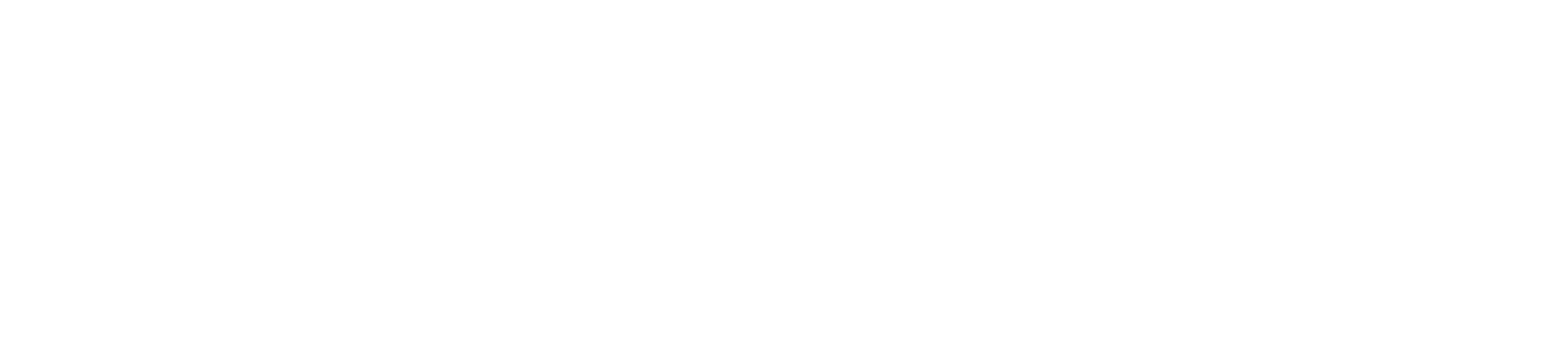 Enterprise Value Consulting